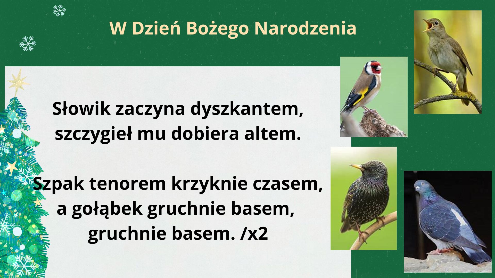 W Dzień Bożego Narodzenia