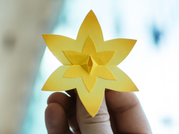 Akcja Żonkile w szkołach, bibliotekach i instytucjach kultury